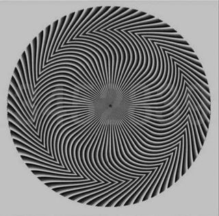 The black and white illusion