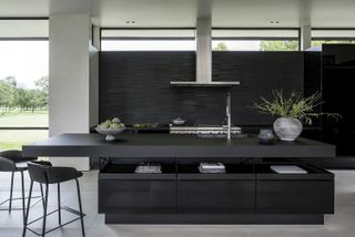 minimalist kitchen with black kitchen island, clean lines and a plant on the countertop