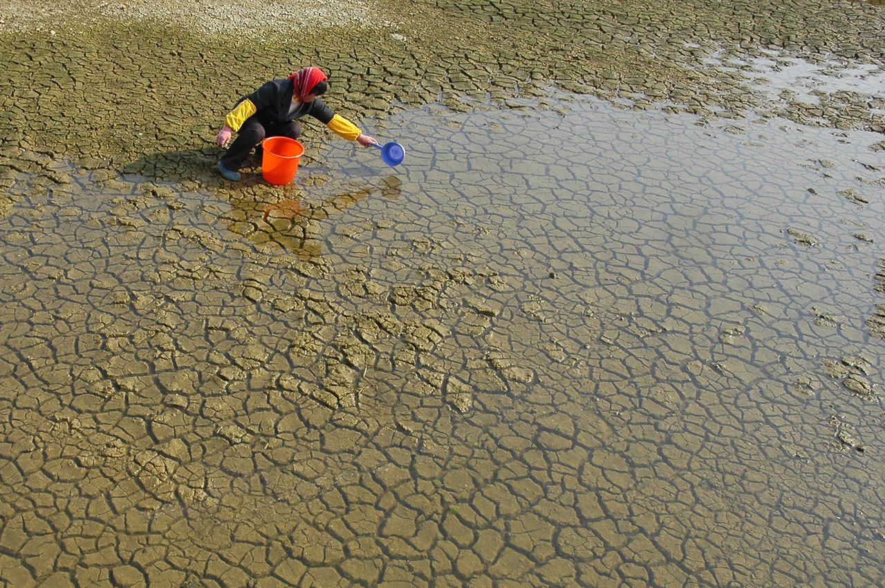 China can&amp;#039;t afford wide-spread warming.