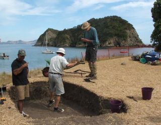 The artifacts and samples of material culture found during this year's excavation at Moturua Island are currently undergoing scientific tests, including carbon dating, that the researchers hope will finally settle the question of the age of the various ar