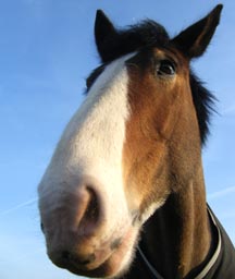 hovis_new1.jpg