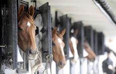 lambourne-open-day.jpg