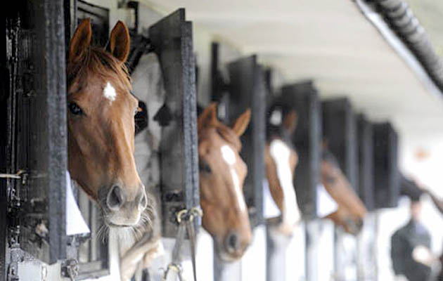 lambourne-open-day.jpg