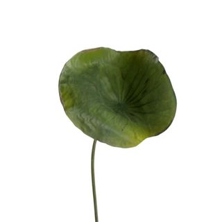 A round green faux leaf