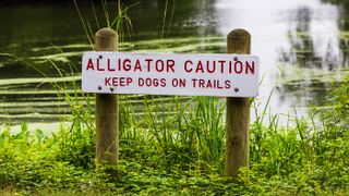 Sign by water reading ‘Alligator Caution: Keep dogs on trails’