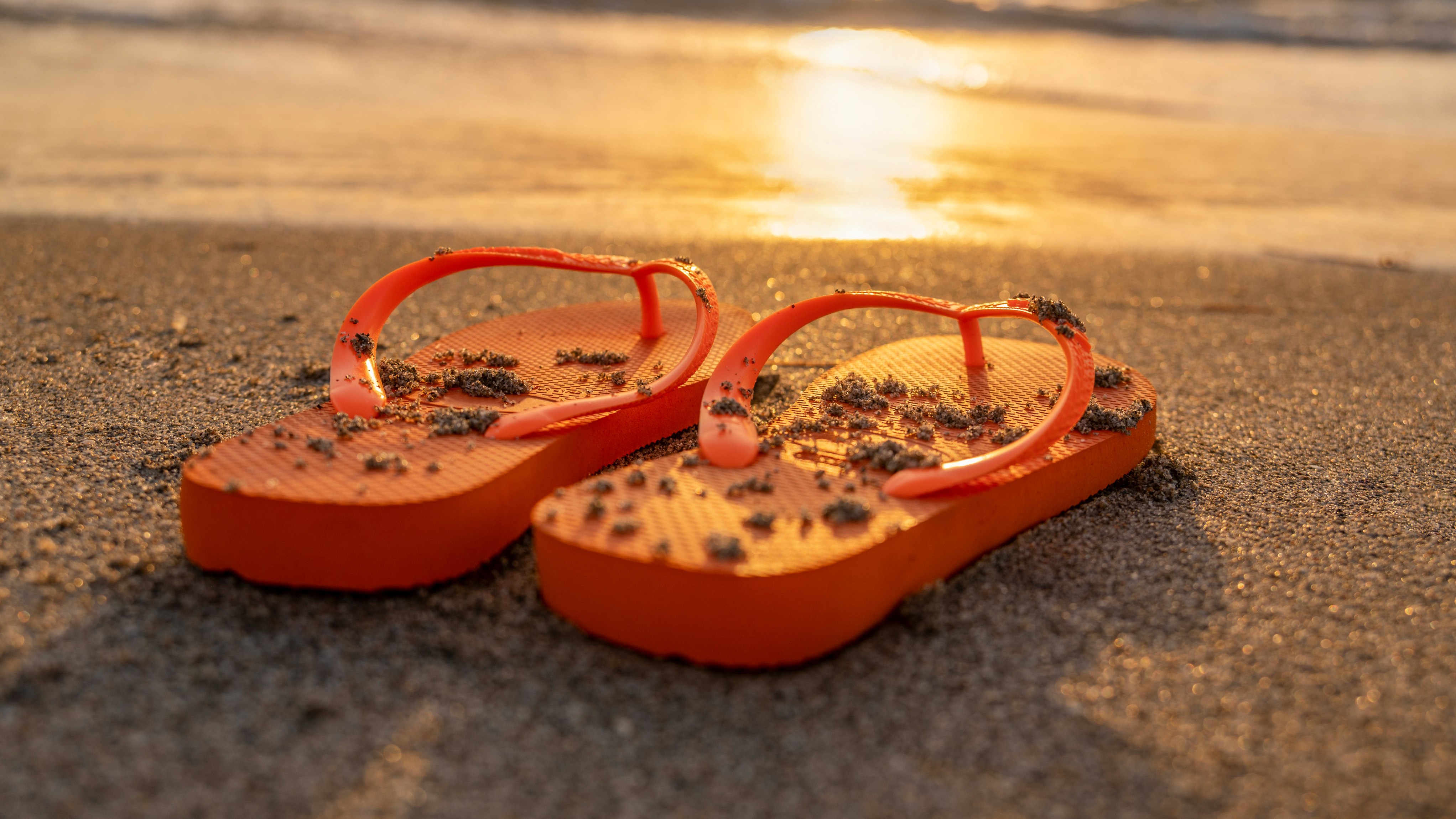 Orange flip-flops covered in sand on a beach at sunset