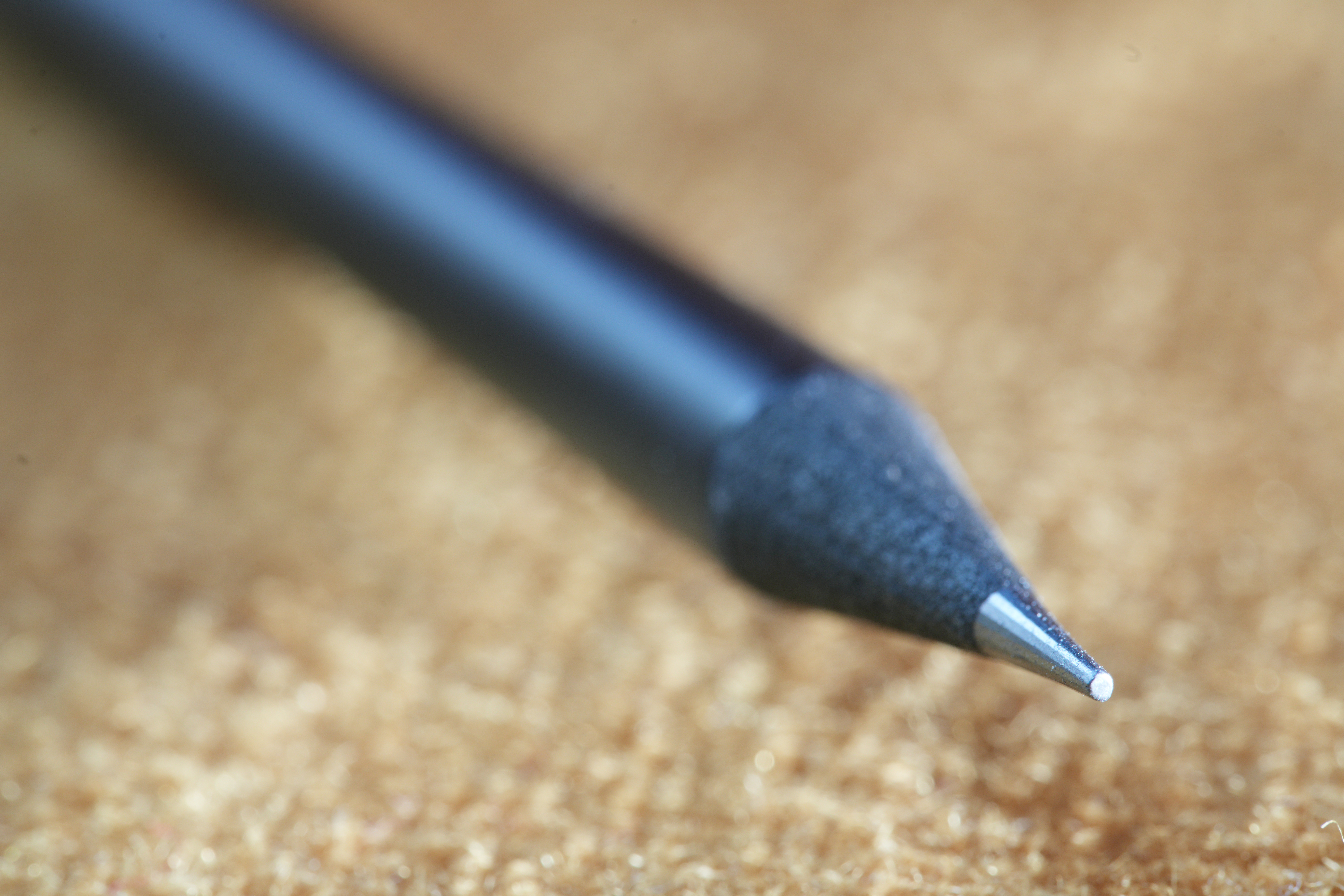 Sample image taken with the Sony FE 100mm f/2.8 Macro GM OSS lens using a Sony A7R V