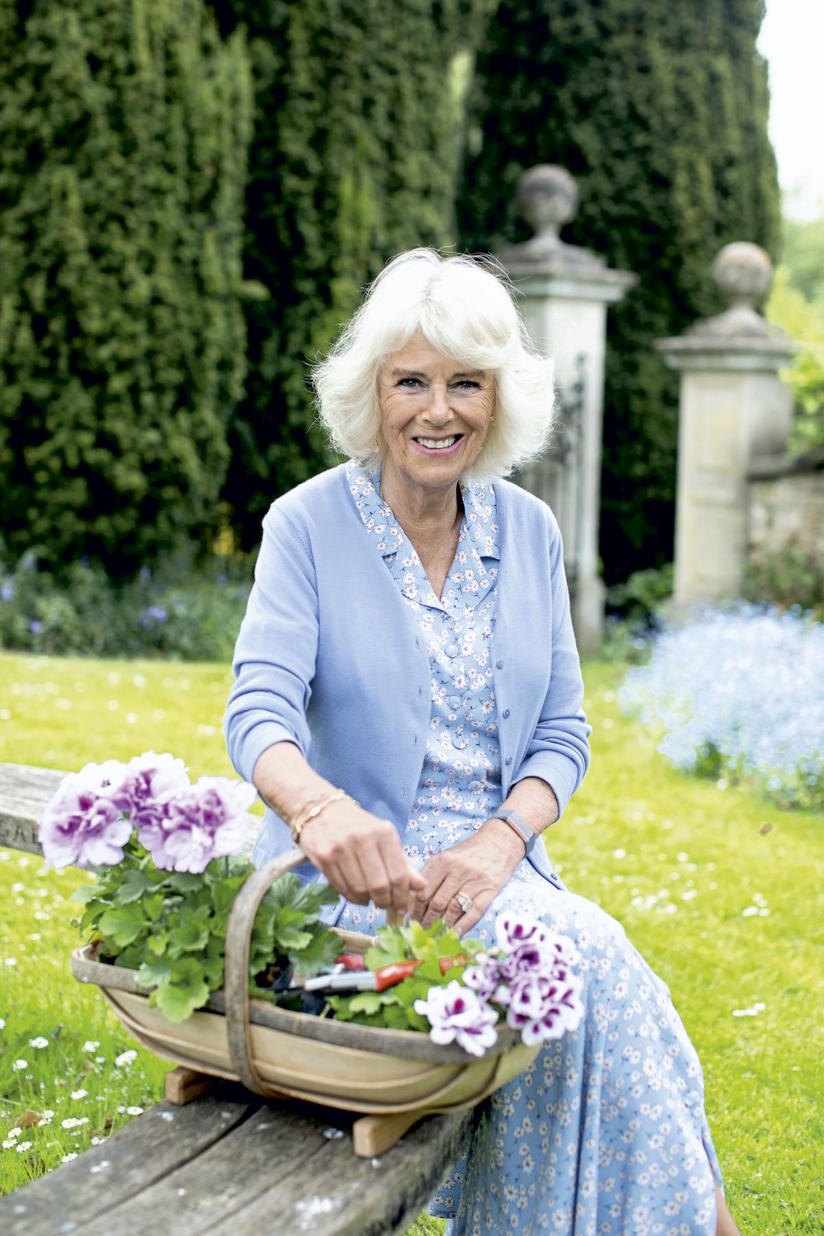 Duchess of Cornwall