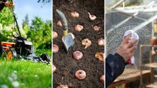 composite of three gardening images, mowing, bulbs and cleaning greenhouse