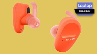  Sony WF-SP800N Truly Wireless Sports in-Ear Noise Canceling Headphones