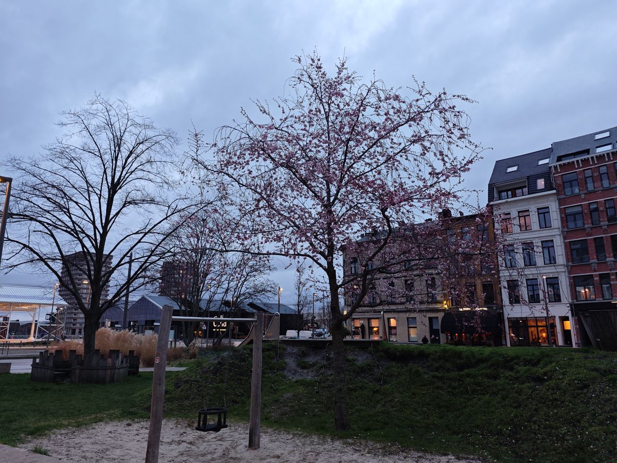 Xiaomi 14 camera