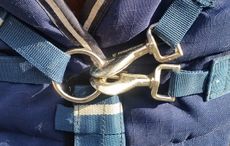 jack-tt-horseware-rug.jpg