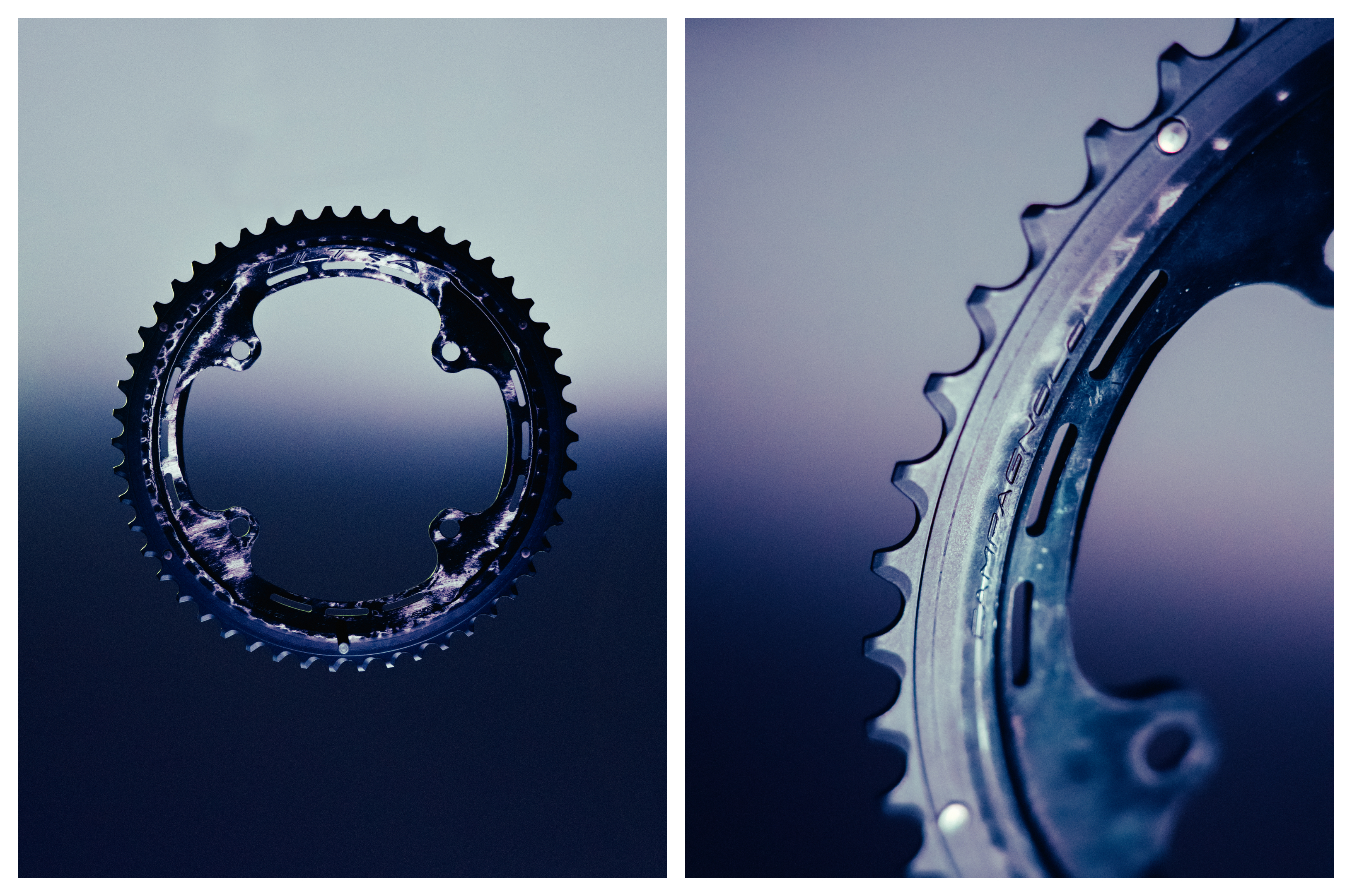 Campagnolo Ultra chainring