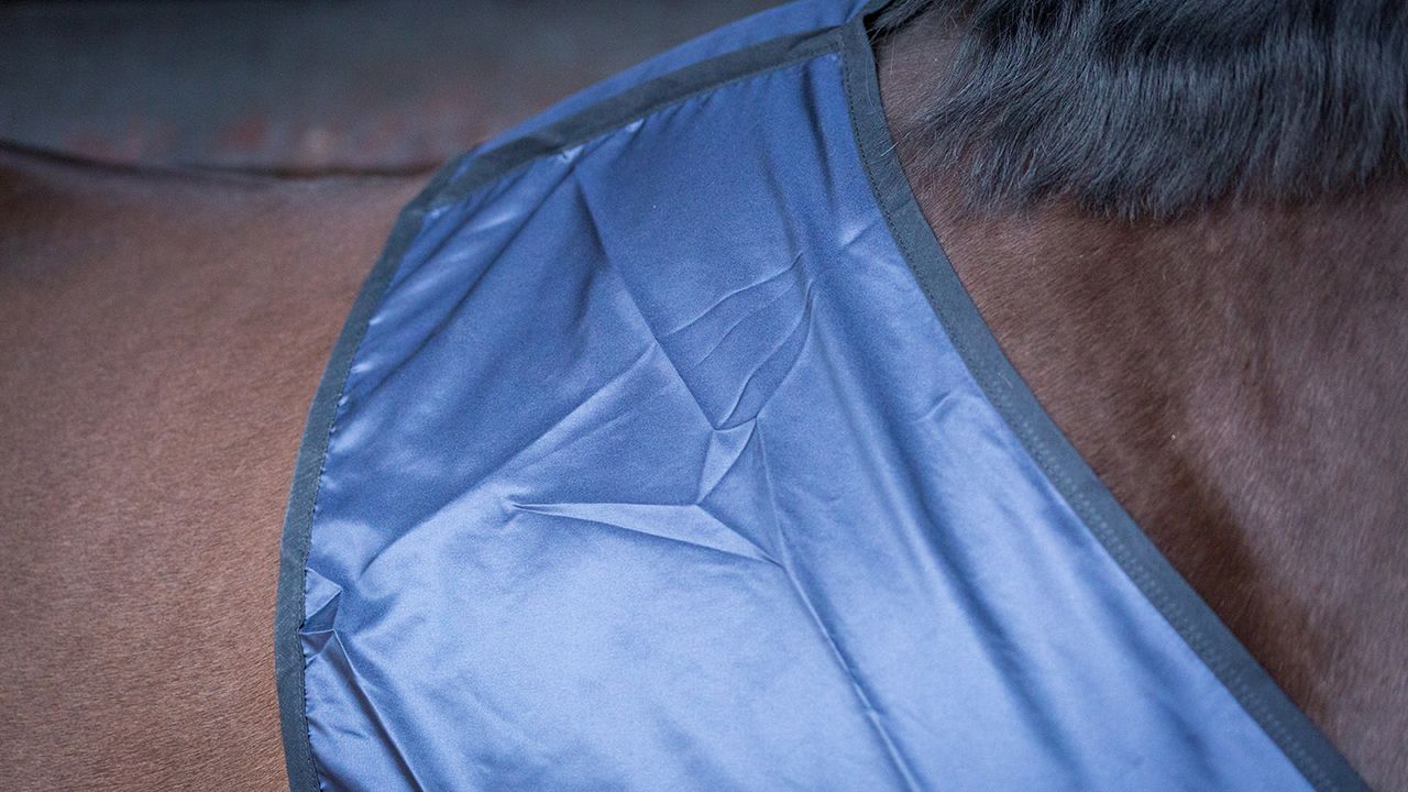 Bossy&rsquo;s Bib review