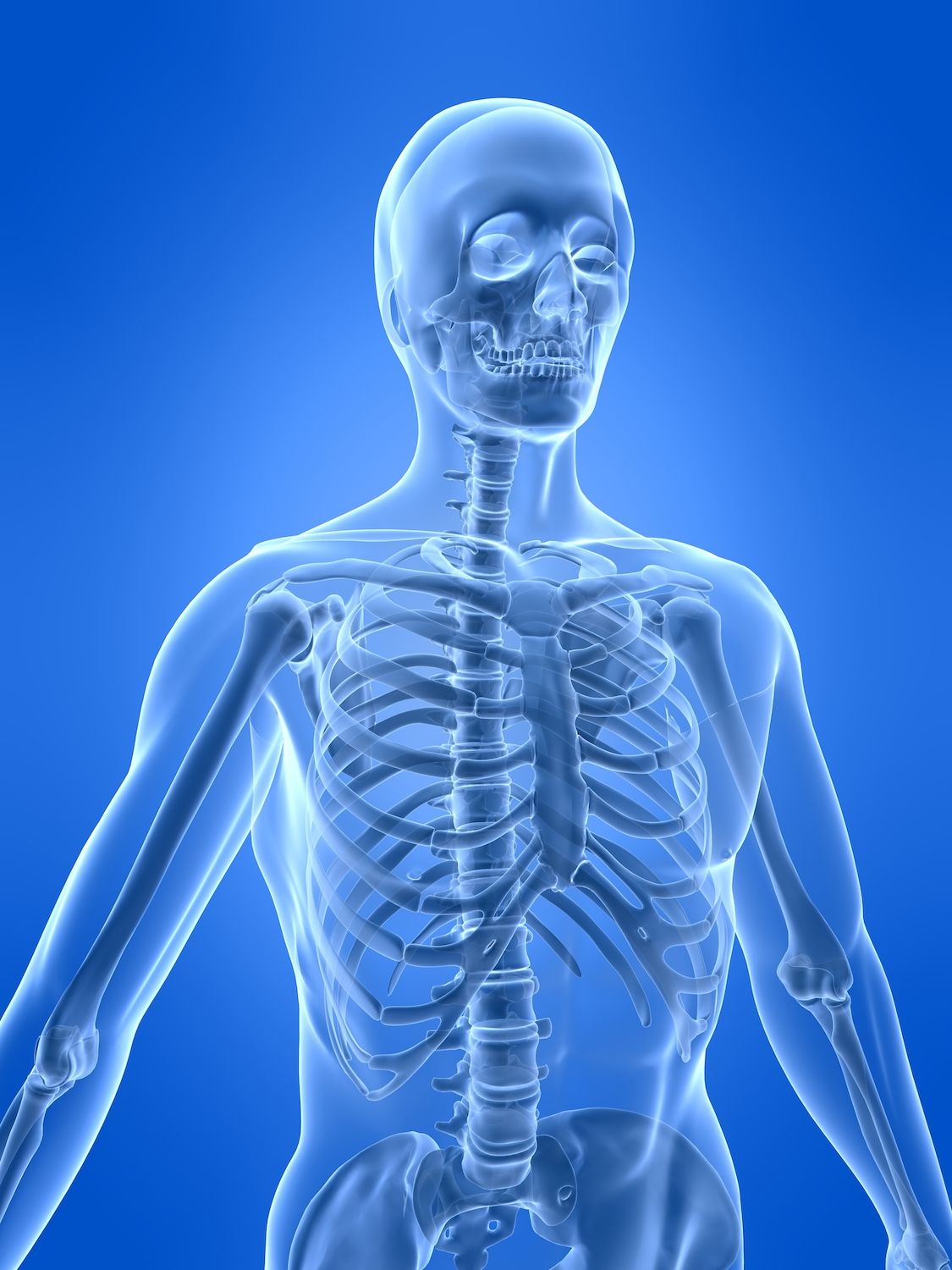 The Human Skeletal System | Live Science