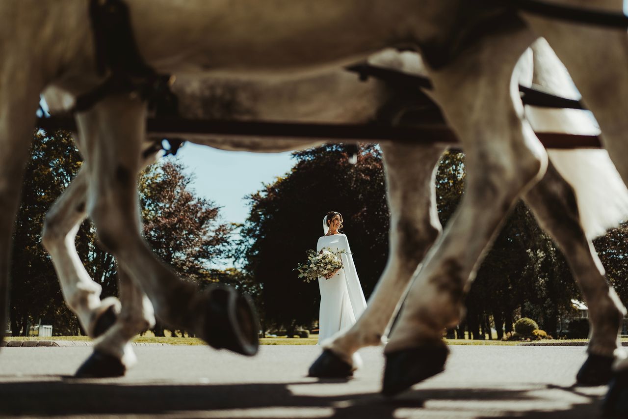 Sample image taken with a Nikon Z 35mm f/1.2 S lens showing a bride in the background with horses legs in the foreground
