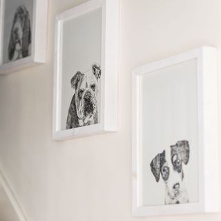 makeover of hallway with white wall and dog frame