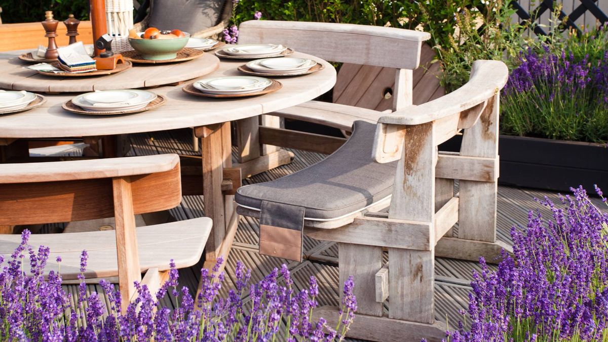 Say Goodbye to Mosquitoes, Flies and No-See-Ums – These 8 Fragrant, Pest-Repellent Plants Make Patios So Much More Enjoyable in June