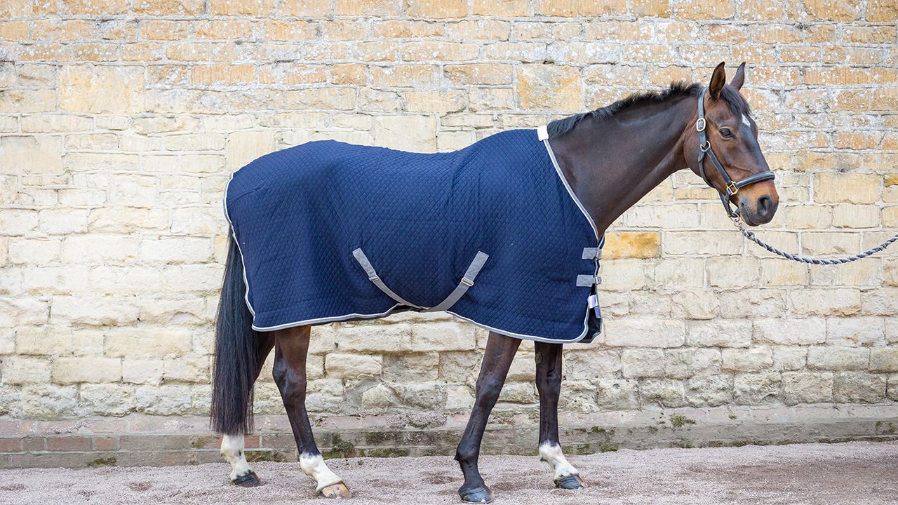 WeatherBeeta Thermic Quilt standard neck cooler review