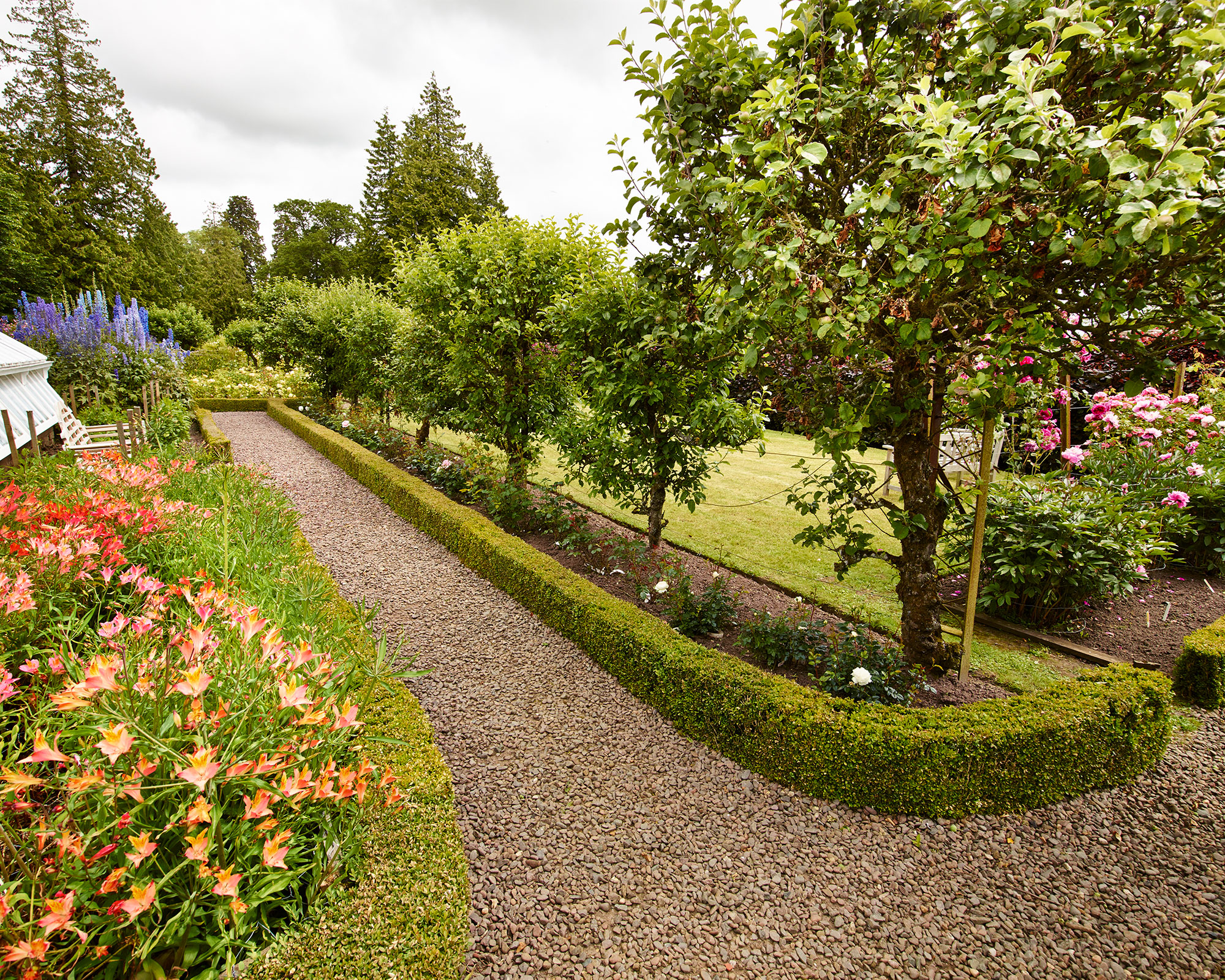 Large garden with low hedging, trees, flowers, gravel path