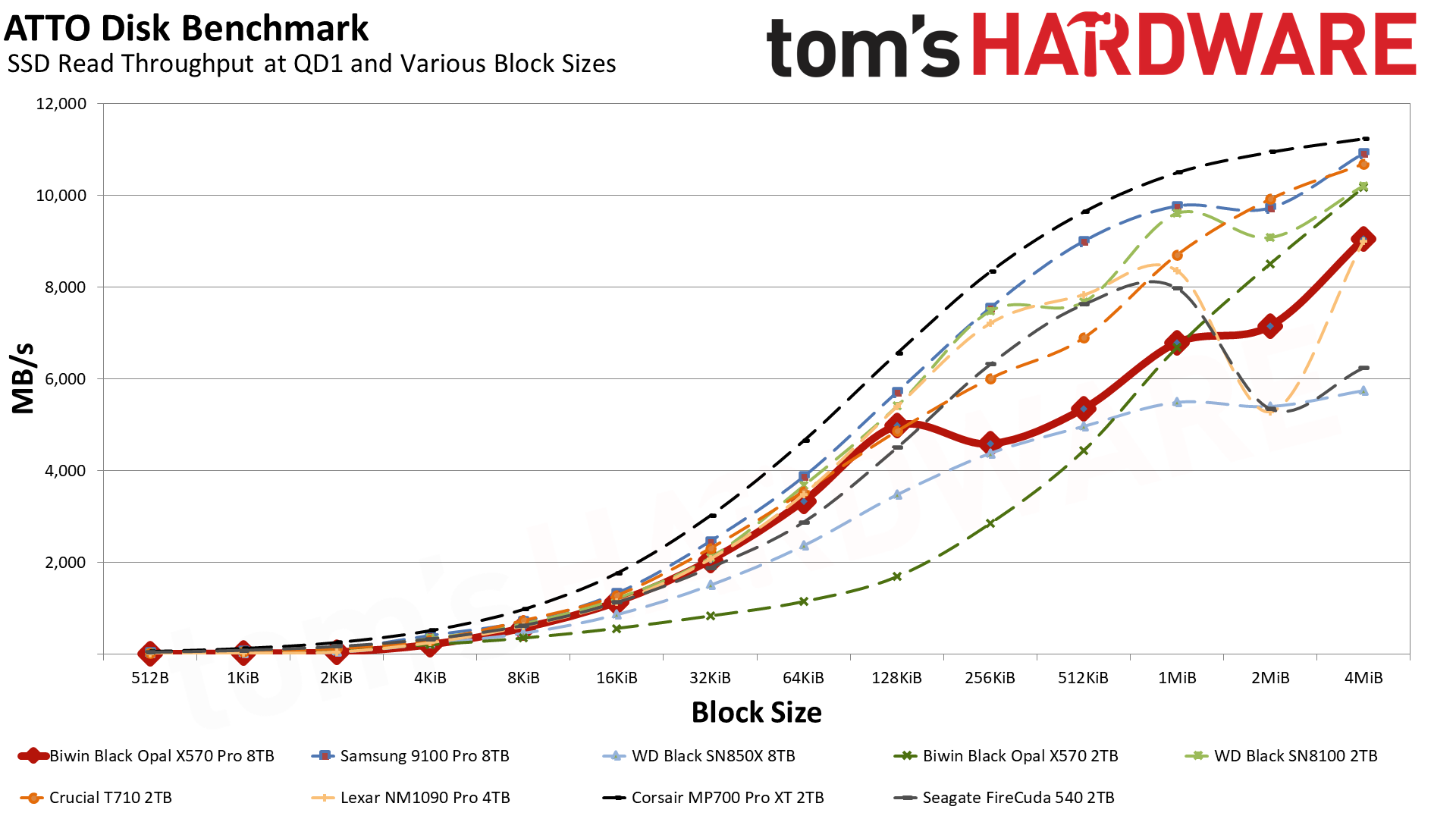 Biwin Black Opal X570 Pro SSD