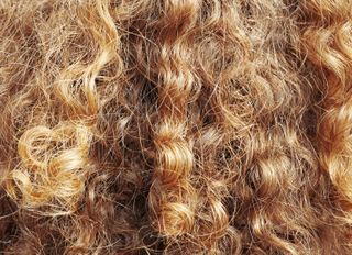 close up of auburn curly hair