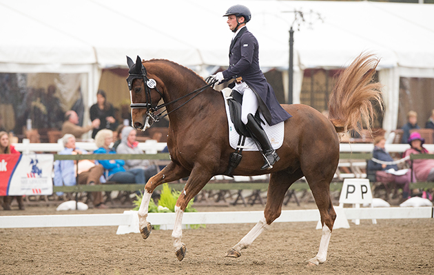 Keith Robertson riding Boheme AF Sulsted