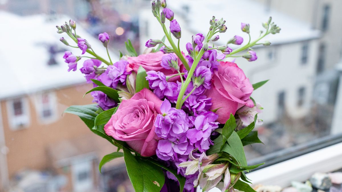 Valentine's Day flowers