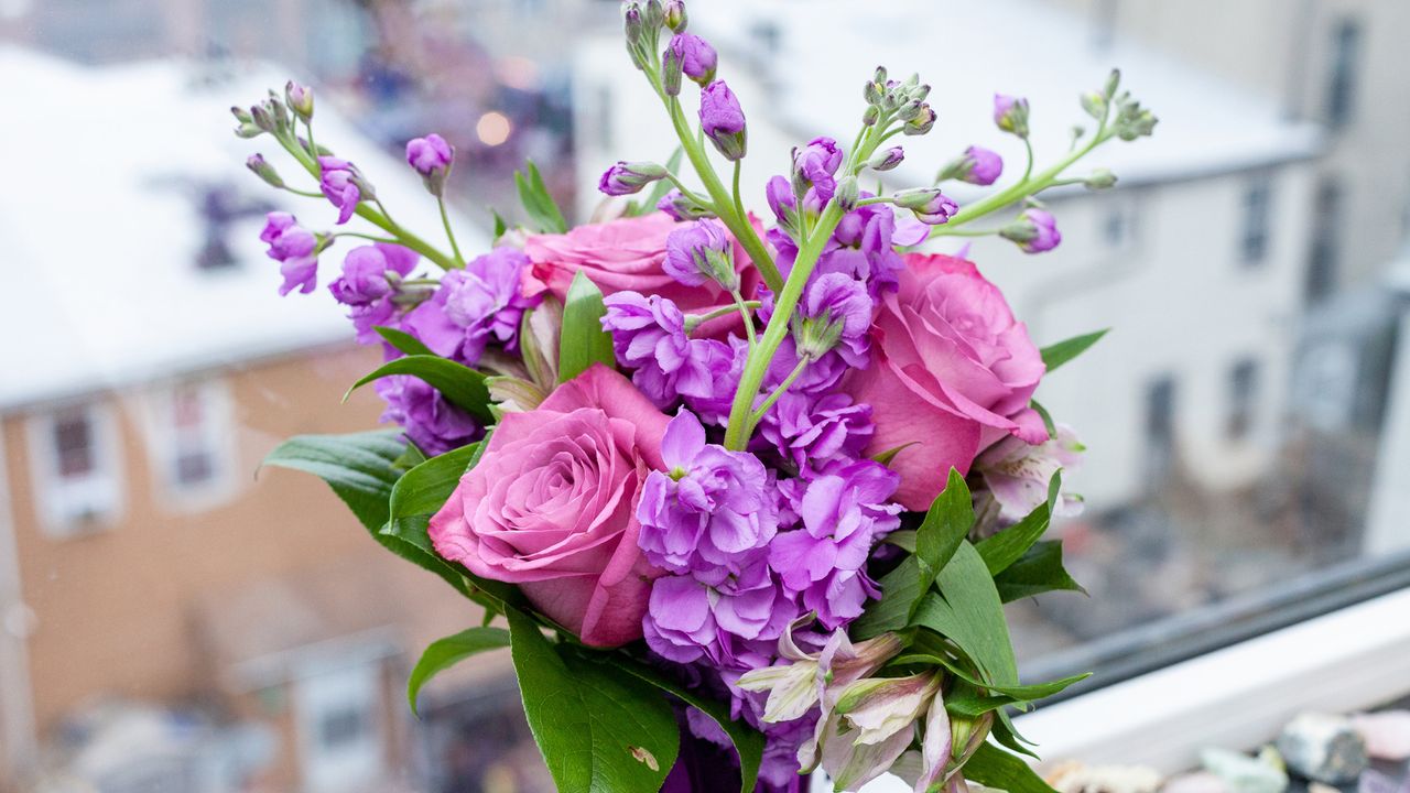Valentine's Day flowers