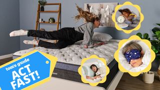 The Tom's Guide Sleep Editor jumping onto a mattress that's on sale for Labor Day