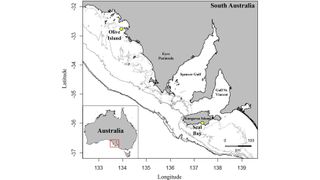 Map of South Australia, illustrating location of colonies for deployment of animal-borne cameras