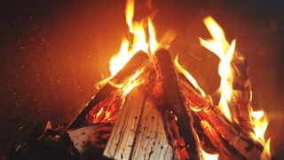 how to chop firewood: campfire