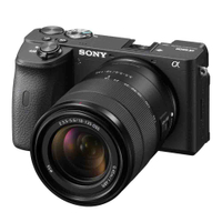 Sony A6600 (body only): £1,249