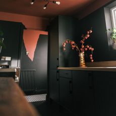 kitchen with dramatic black wall and cabinets