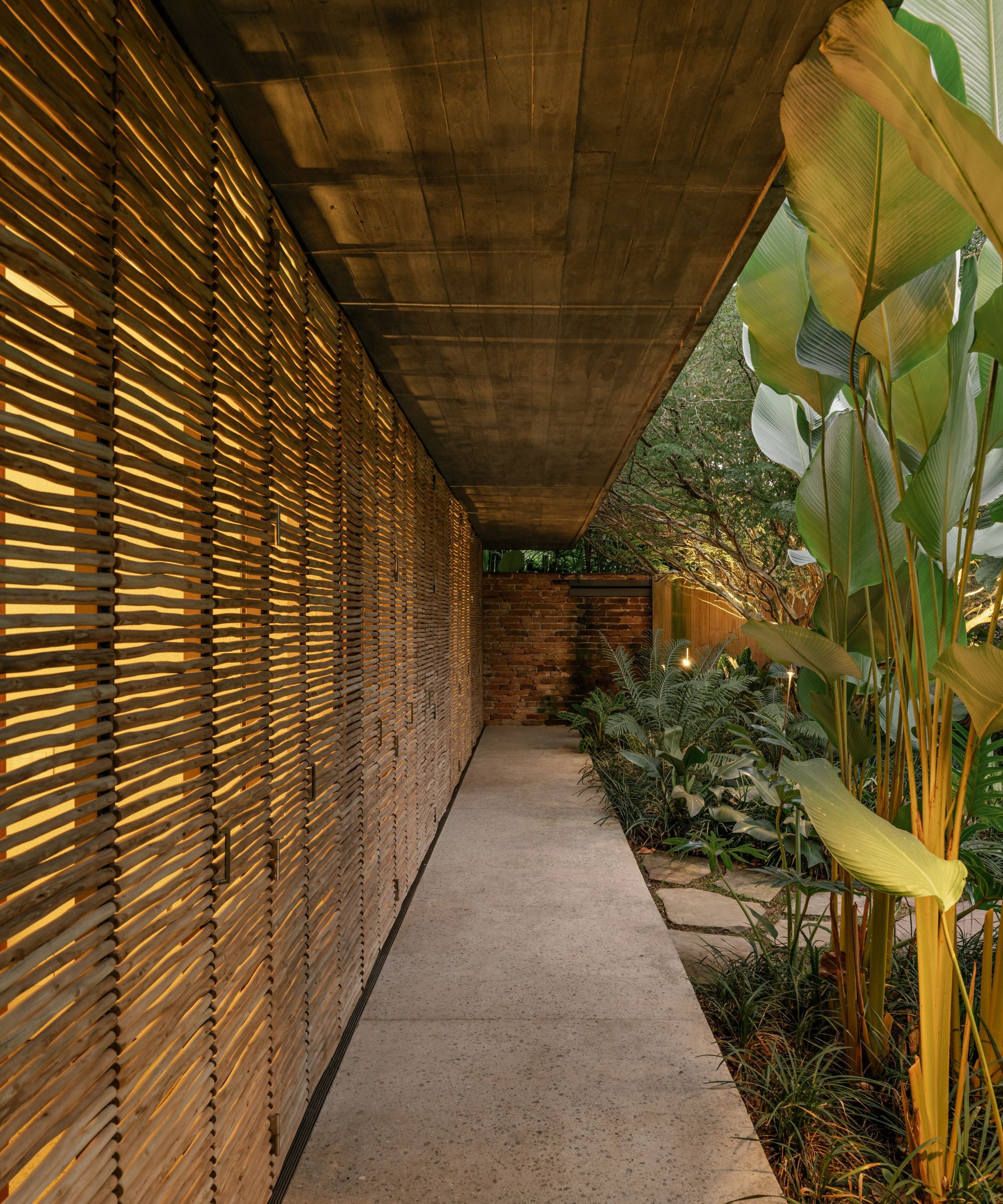 Tropical garden in the evening