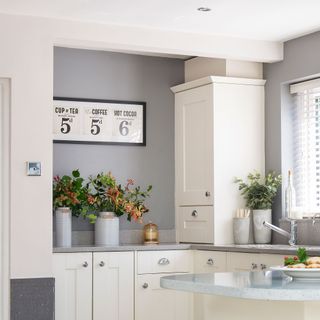 Kitchen with white walls and white cabinet