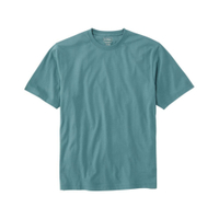 Men's Carefree Unshrinkable Tee: was $24 now $19 @ L.L. Bean