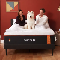 US Nectar Premier Copper Memory Foam mattress (Full):  $2,299