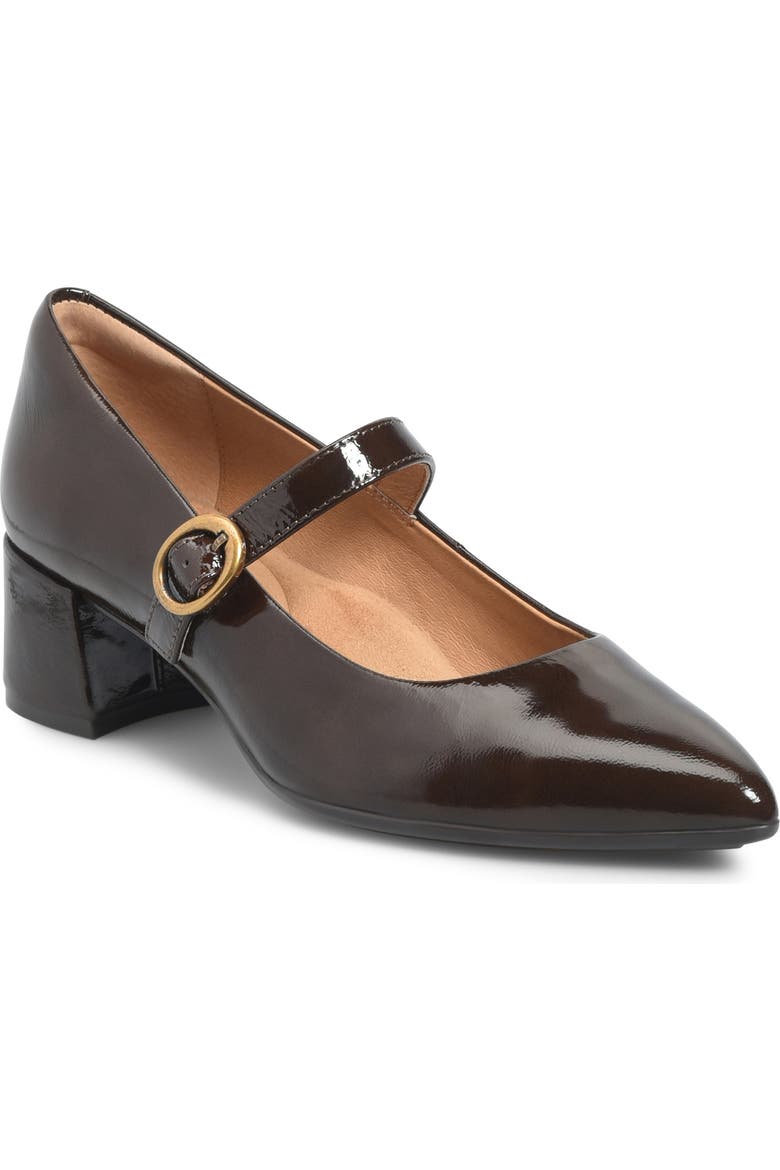 Stacy Pointed Toe Mary Jane Pump