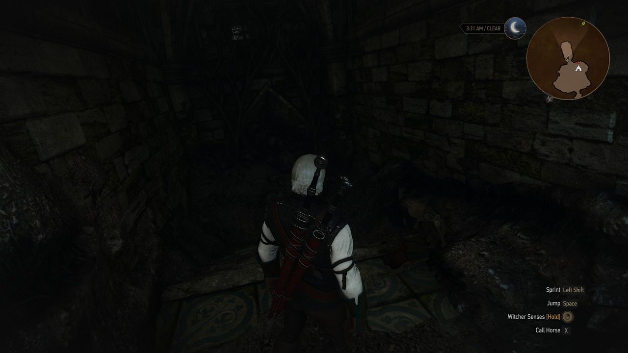 the witcher 3 feline silver sword