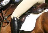 eventing-side.jpg