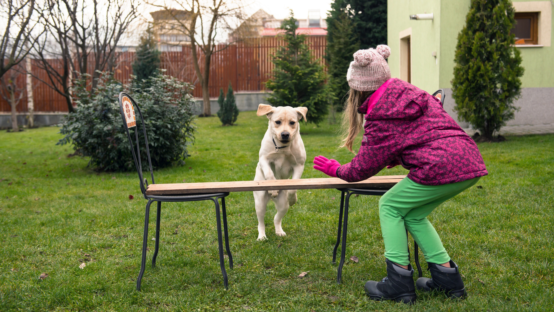 Girl making obstacle course for dog