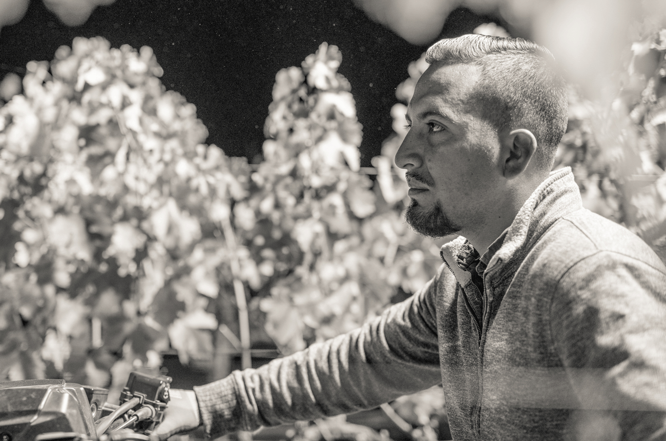 Dalla Valle - Edgar Alfaro, vineyard manager