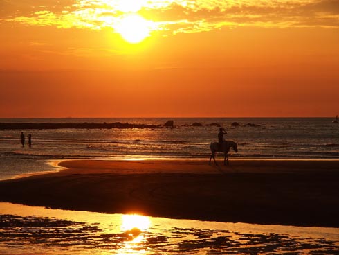 sunset