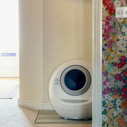 litter pod in use in a hallway