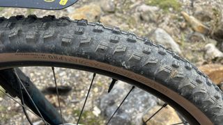 Bontrager Gunnison Pro tires details