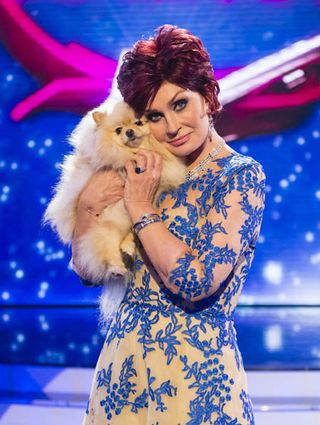 Sharon Osbourne: 'My dogs have American accents!'