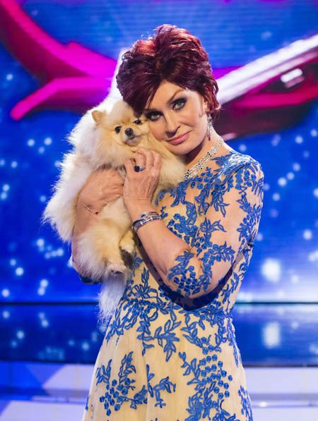 Sharon Osbourne: &#039;My dogs have American accents!&#039;