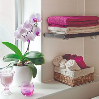 A pink orchid plant on a bathroom window sill with a basket of towels next to it