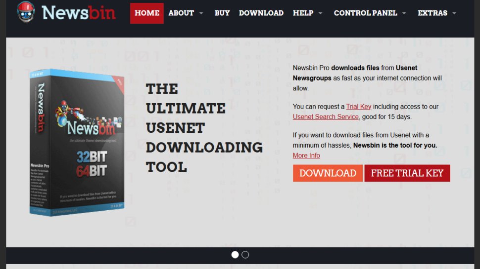 Website screenshot of Newsbin Pro (January, 2026)